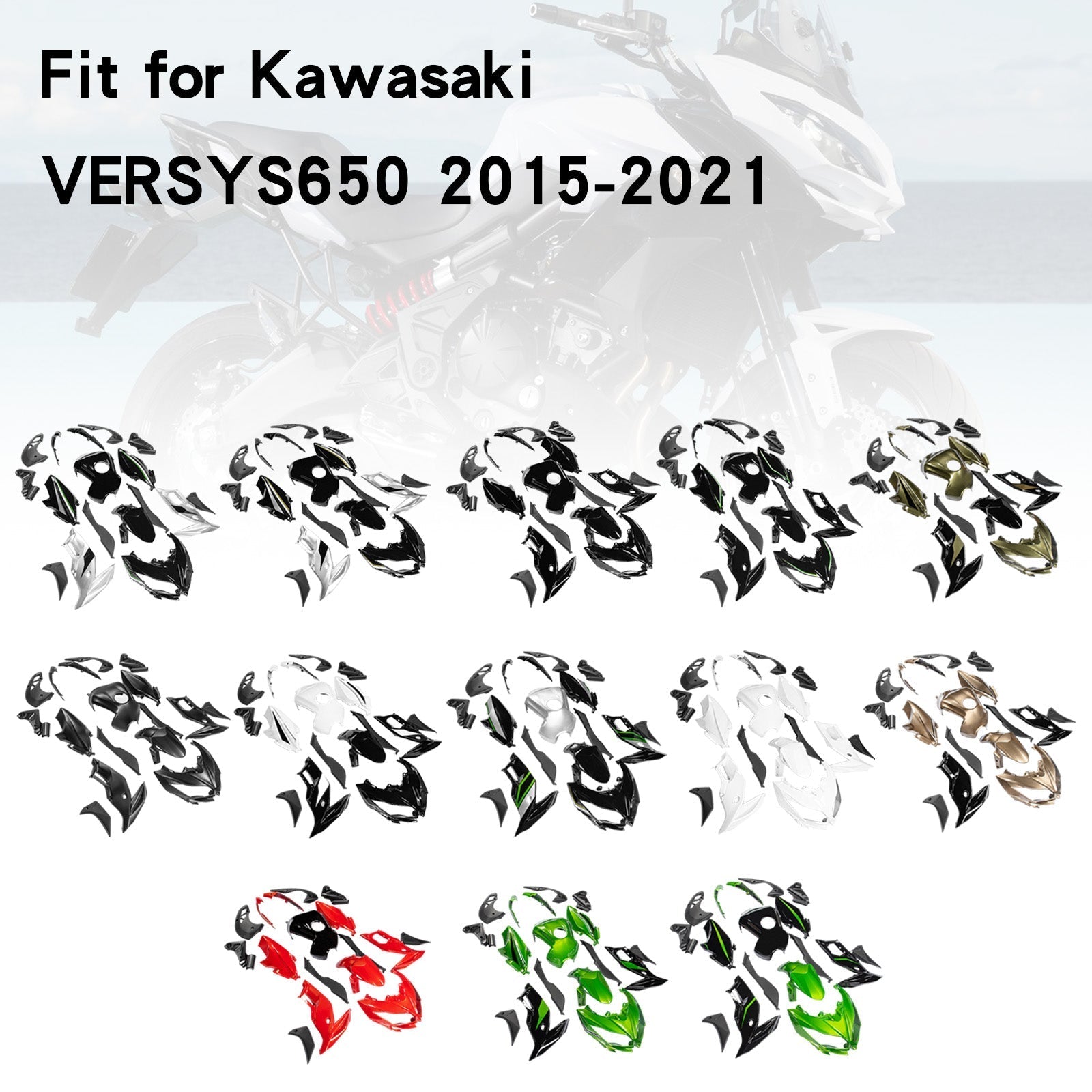 Kawasaki VERSYS650 2015-2021 Carenado