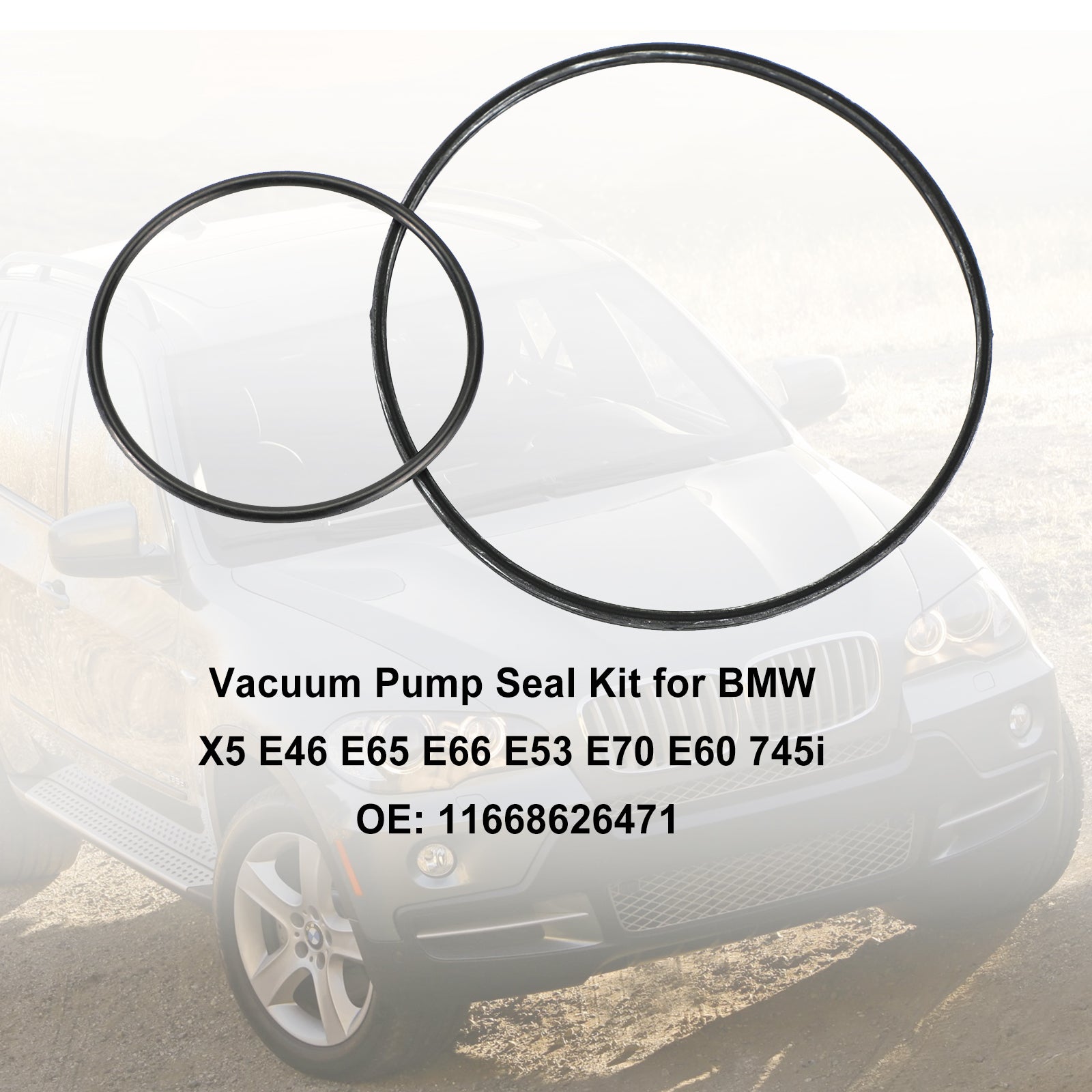 Vacuum Pump Seal Kit for BMW X5 E46 E65 E66 E53 E70 E60 745i 11668626471 Generic