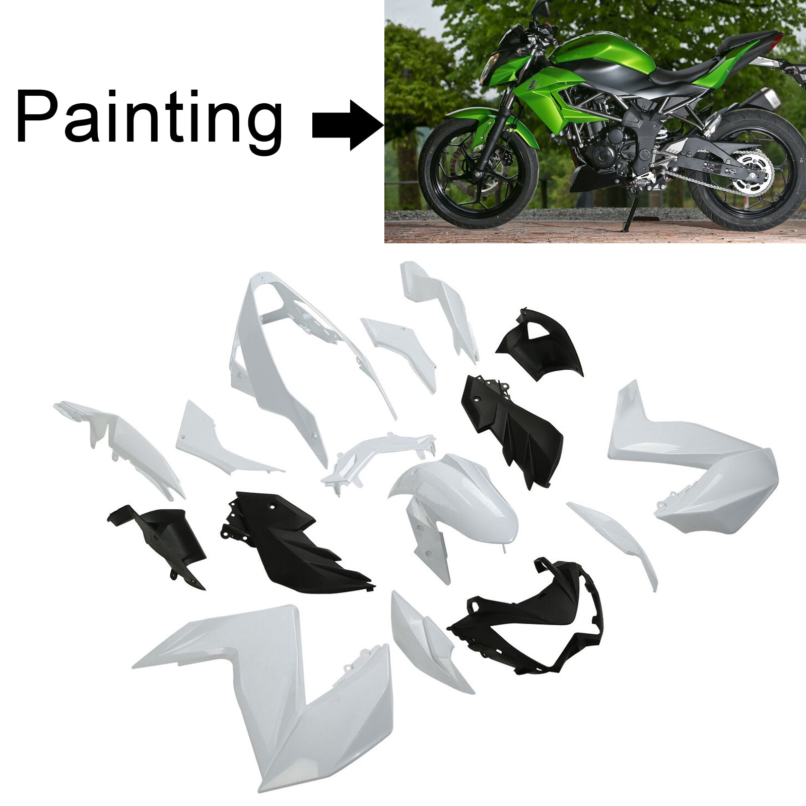 Kawasaki Z250 Z300 2015-2016 Fairing Kit