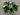 Kawasaki EX300 Ninja300 2013-2024 Fairing Kit Bodywork Plastic ABS