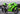 Kawasaki ZX-10R ZX-10RR 2021-2024 Fairing Kit Bodywork ABS