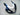 Fairings 2004-2005 Suzuki GSXR 600 750 Blue & White GSXR Generic