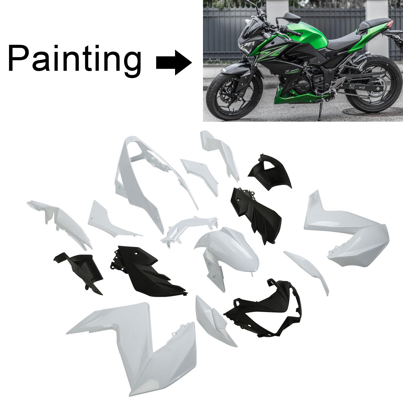 Kawasaki Z250 Z300 2015-2016 Fairing Kit